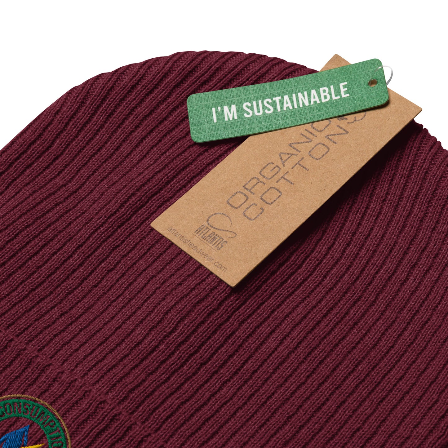 Organic ribbed beanie with “Consumption Monitor" logo embroidered